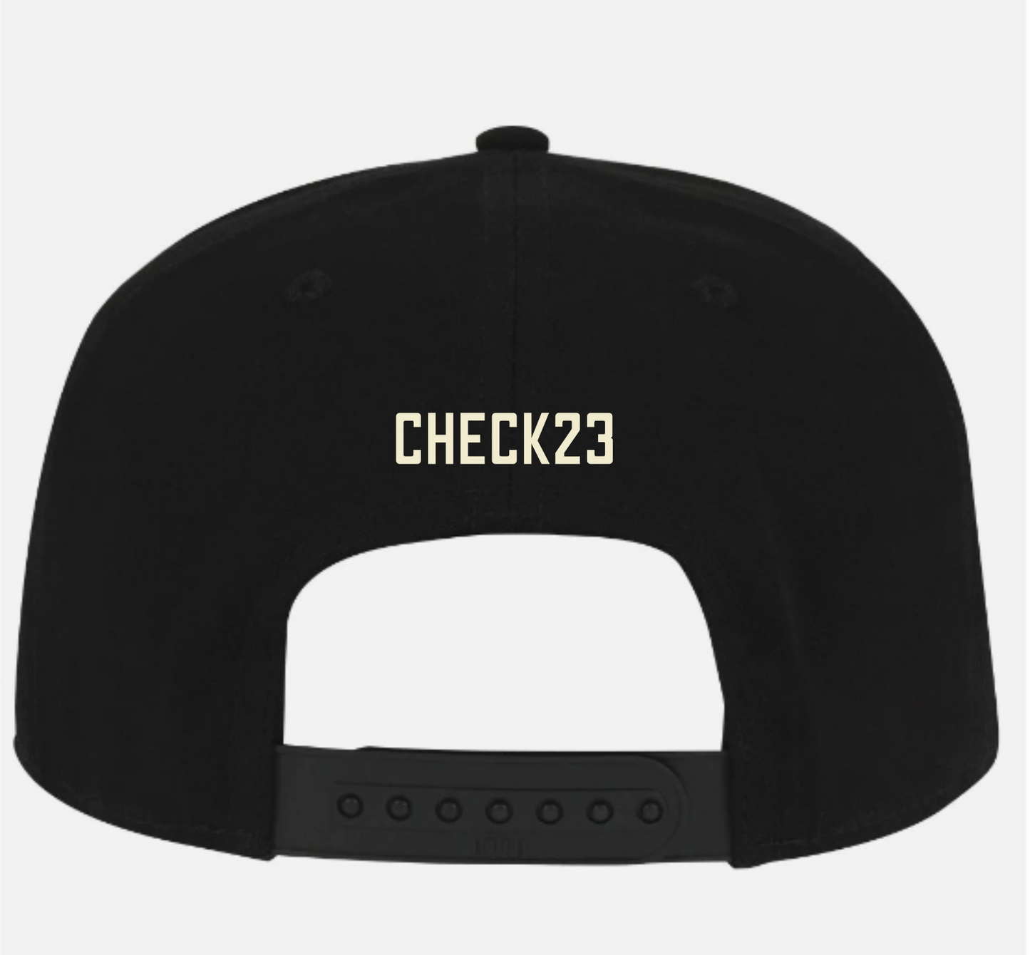 Check23 CIO Hat